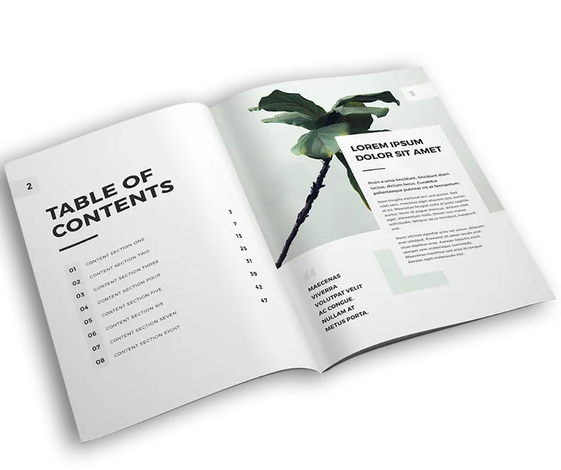 Author Prime Publishing book cover