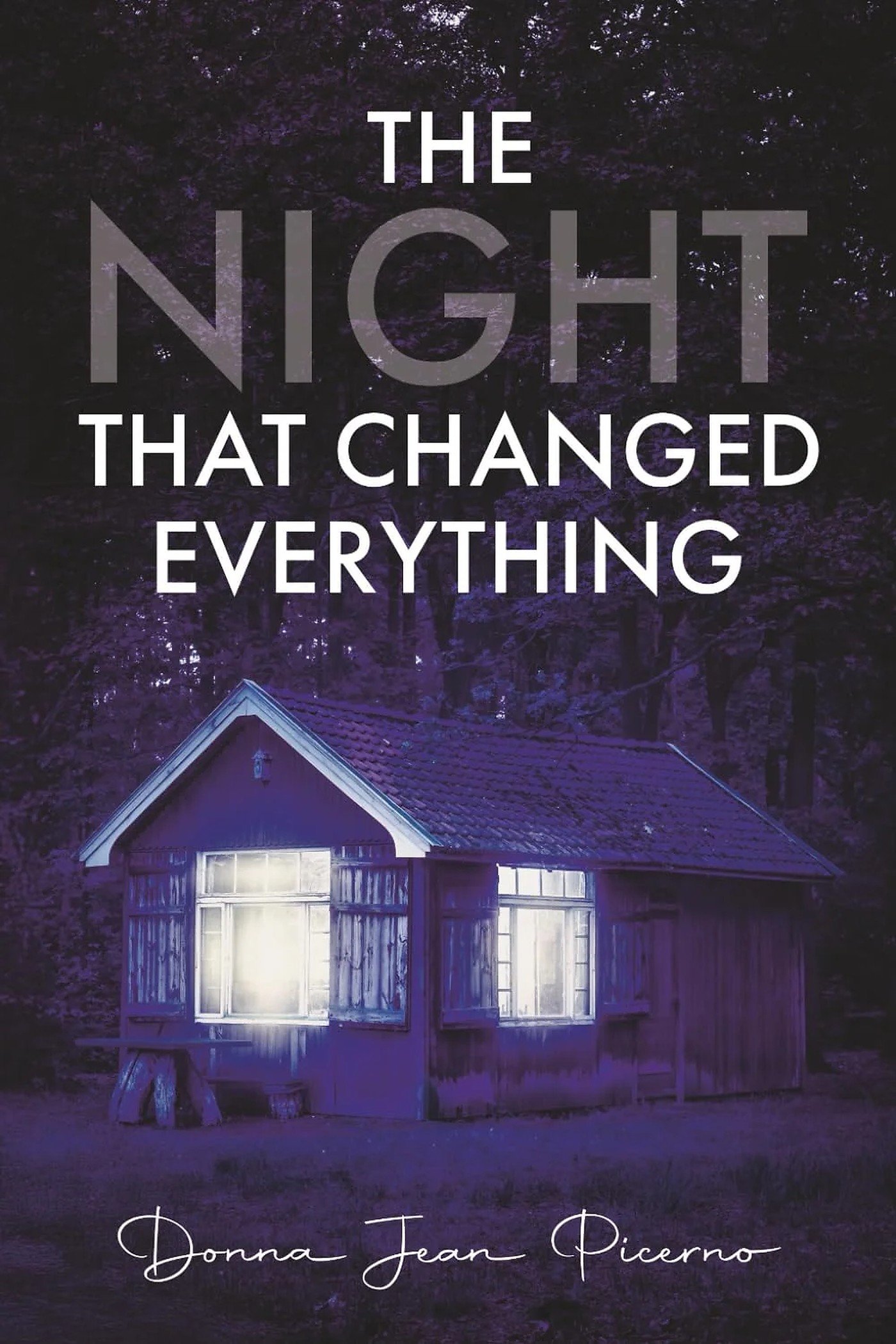 The Night that Changed Everything by Donna Jean Picerno – book cover